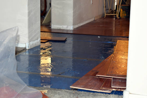 Professional Burst Pipe Cleanup technician working in Jobstown, NJ